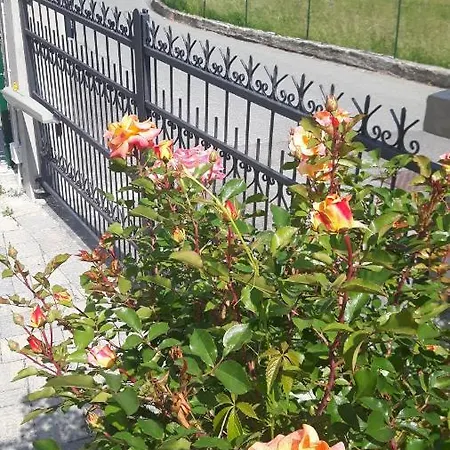 La Del Mulino Oda ve Kahvaltı 3*