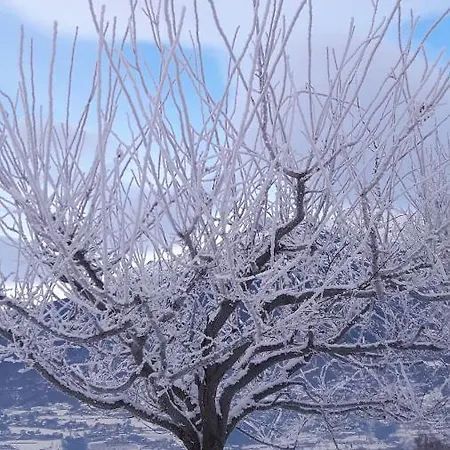 La Del Mulino Pollein