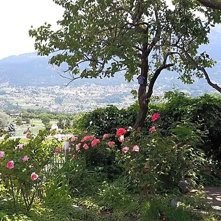 La Del Mulino 3*