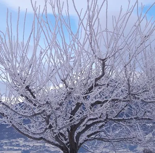 La Del Mulino Pollein