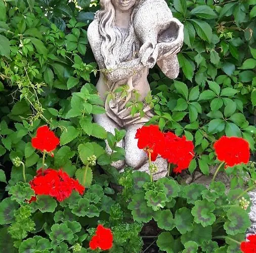 Bed & Breakfast La Del Mulino 3*